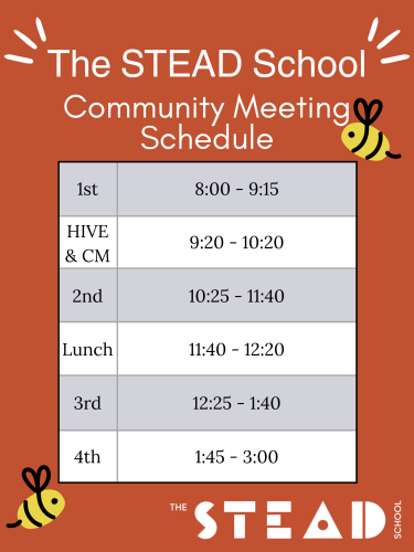 The STEAD School (1)