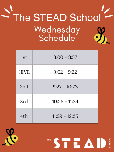 The STEAD School (3)